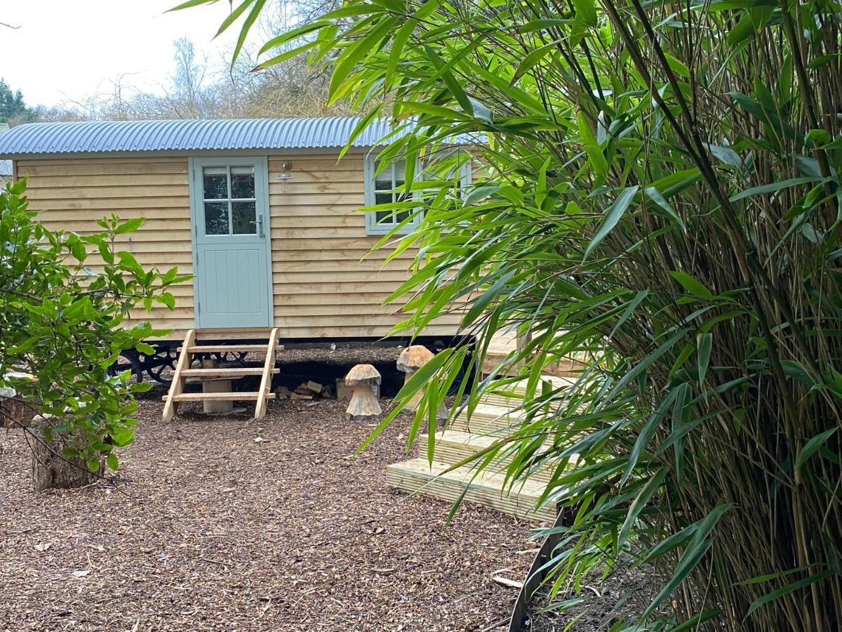 Chez Maurice Luxury Shepherds Hut With Bath And Hot Tub Kelling Exteriör bild